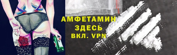 шишки Костерёво