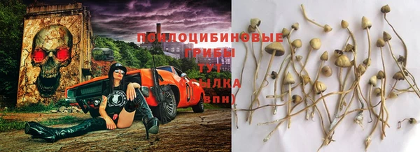 прущие крисы Абинск