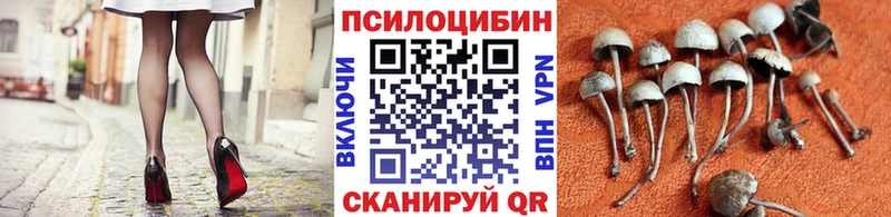 Псилоцибиновые грибы мухоморы  Комсомольск-на-Амуре 