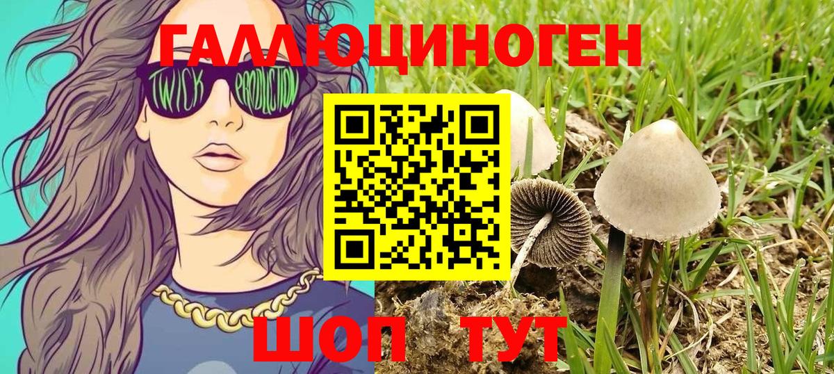 Псилоцибиновые грибы мухоморы Комсомольск-на-Амуре